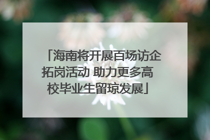 海南将开展百场访企拓岗活动 助力更多高校毕业生留琼发展