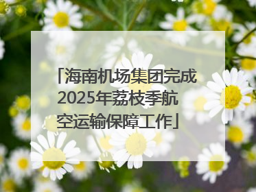 海南机场集团完成2025年荔枝季航空运输保障工作