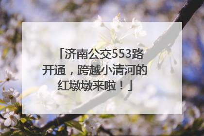 济南公交553路开通，跨越小清河的红墩墩来啦！