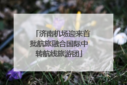 济南机场迎来首批航旅融合国际中转航线旅游团