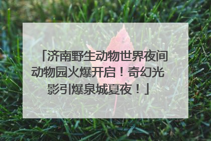 济南野生动物世界夜间动物园火爆开启！奇幻光影引爆泉城夏夜！