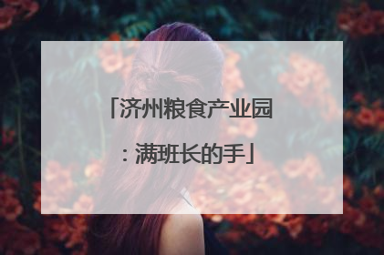 济州粮食产业园：满班长的手