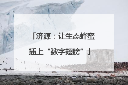 济源：让生态蜂蜜插上“数字翅膀”