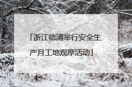 浙江德清举行安全生产月工地观摩活动