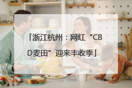 浙江杭州：网红“CBD麦田”迎来丰收季