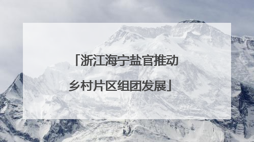 浙江海宁盐官推动乡村片区组团发展