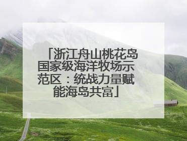 浙江舟山桃花岛国家级海洋牧场示范区：统战力量赋能海岛共富