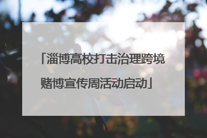 淄博高校打击治理跨境赌博宣传周活动启动