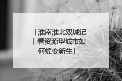 淮南淮北双城记丨看资源型城市如何蝶变新生