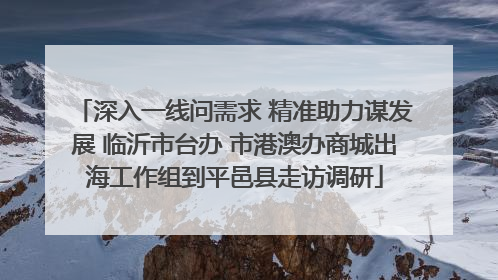 深入一线问需求 精准助力谋发展 临沂市台办 市港澳办商城出海工作组到平邑县走访调研