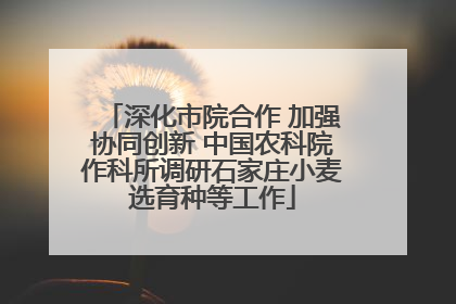 深化市院合作 加强协同创新 中国农科院作科所调研石家庄小麦选育种等工作