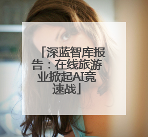 深蓝智库报告：在线旅游业掀起AI竞速战