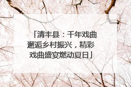 清丰县：千年戏曲邂逅乡村振兴，精彩戏曲盛宴燃动夏日