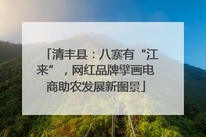 清丰县：八寨有“江来”，网红品牌擘画电商助农发展新图景