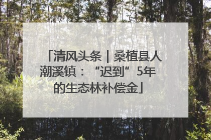 清风头条｜桑植县人潮溪镇：“迟到”5年的生态林补偿金