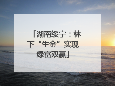 湖南绥宁：林下“生金”实现绿富双赢