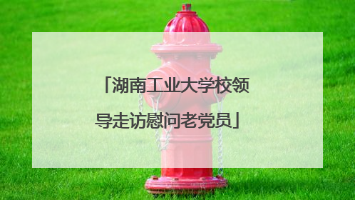 湖南工业大学校领导走访慰问老党员