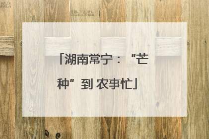 湖南常宁：“芒种”到 农事忙