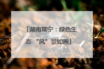 湖南常宁：绿色生态 “风”景如画