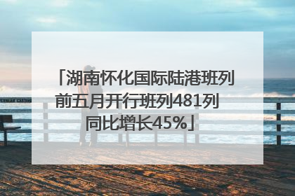 湖南怀化国际陆港班列前五月开行班列481列 同比增长45%