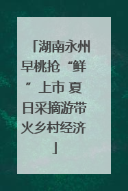 湖南永州早桃抢“鲜”上市 夏日采摘游带火乡村经济
