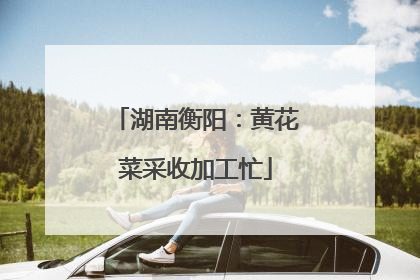 湖南衡阳：黄花菜采收加工忙