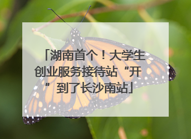 湖南首个！大学生创业服务接待站“开”到了长沙南站