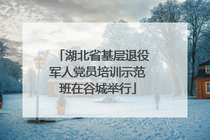 湖北省基层退役军人党员培训示范班在谷城举行