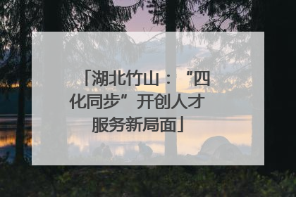 湖北竹山：“四化同步”开创人才服务新局面