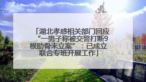 湖北孝感相关部门回应“一男子称被交警打断9根肋骨未立案”：已成立联合专班开展工作