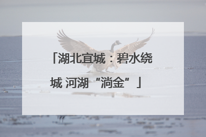湖北宜城：碧水绕城 河湖“淌金”