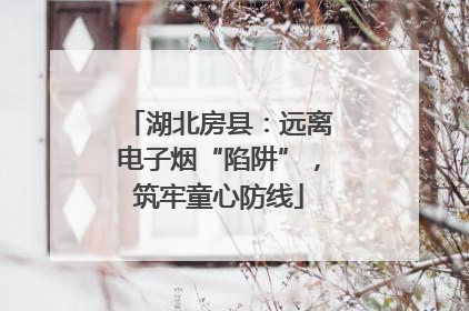 湖北房县：远离电子烟“陷阱”，筑牢童心防线