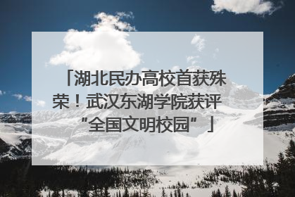 湖北民办高校首获殊荣！武汉东湖学院获评“全国文明校园”