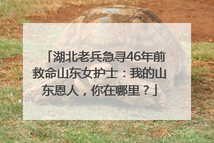 湖北老兵急寻46年前救命山东女护士：我的山东恩人，你在哪里？
