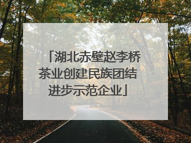 湖北赤壁赵李桥茶业创建民族团结进步示范企业