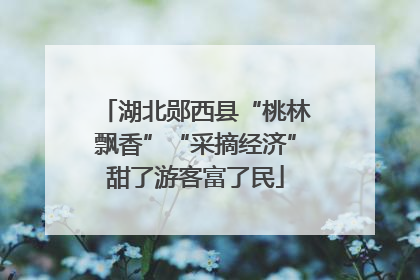湖北郧西县“桃林飘香”“采摘经济”甜了游客富了民