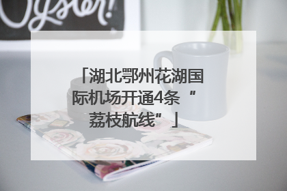 湖北鄂州花湖国际机场开通4条“荔枝航线”