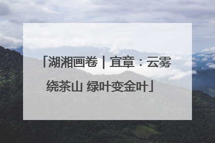 湖湘画卷｜宜章：云雾绕茶山 绿叶变金叶