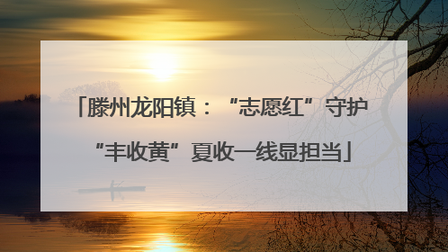 滕州龙阳镇：“志愿红”守护“丰收黄”夏收一线显担当