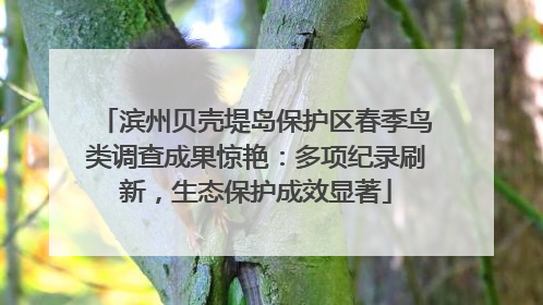 滨州贝壳堤岛保护区春季鸟类调查成果惊艳：多项纪录刷新，生态保护成效显著