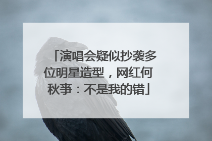 演唱会疑似抄袭多位明星造型，网红何秋亊：不是我的错