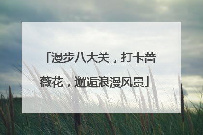 漫步八大关，打卡蔷薇花，邂逅浪漫风景