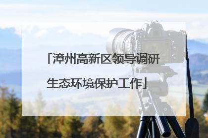 漳州高新区领导调研生态环境保护工作