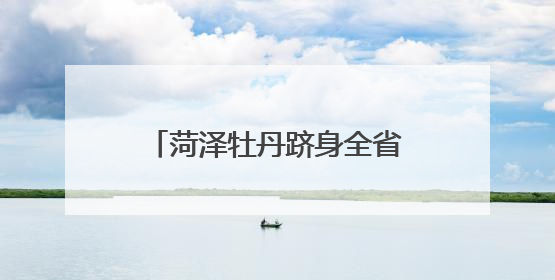 菏泽牡丹跻身全省品牌影响力第一