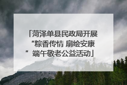 菏泽单县民政局开展“粽香传情 扇绘安康”端午敬老公益活动