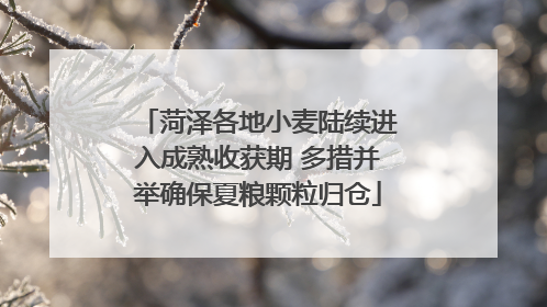 菏泽各地小麦陆续进入成熟收获期 多措并举确保夏粮颗粒归仓