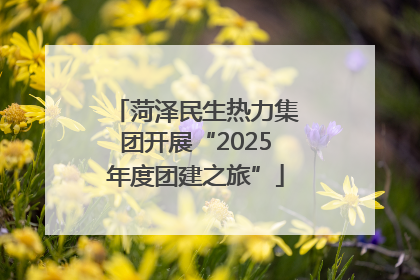 菏泽民生热力集团开展“2025年度团建之旅”