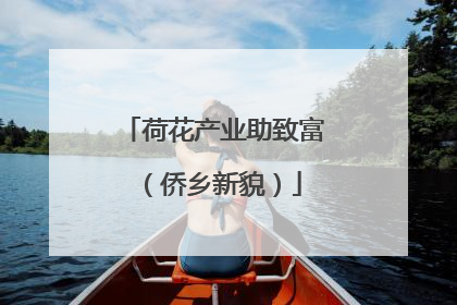 荷花产业助致富（侨乡新貌）