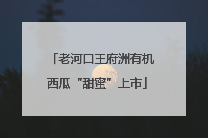 老河口王府洲有机西瓜“甜蜜”上市