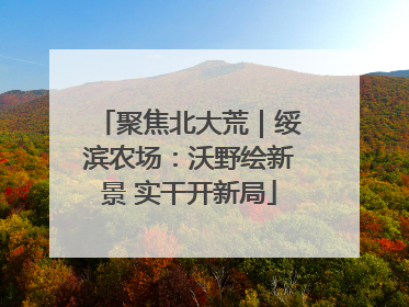 聚焦北大荒｜绥滨农场：沃野绘新景 实干开新局